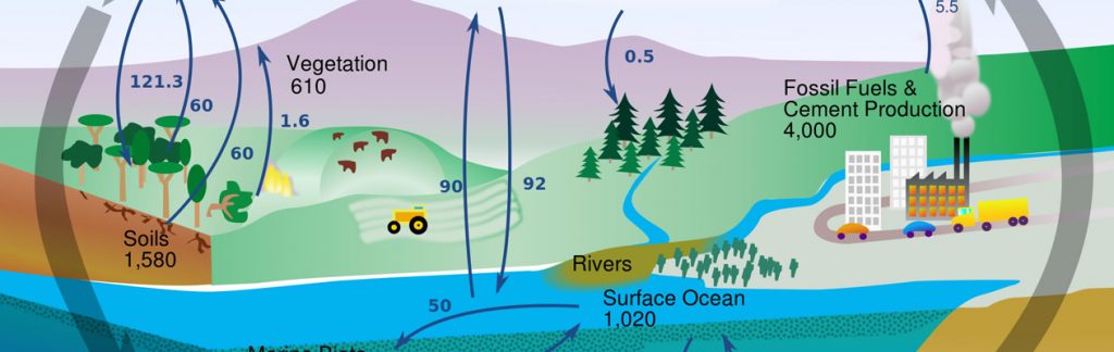 Environmental diagram