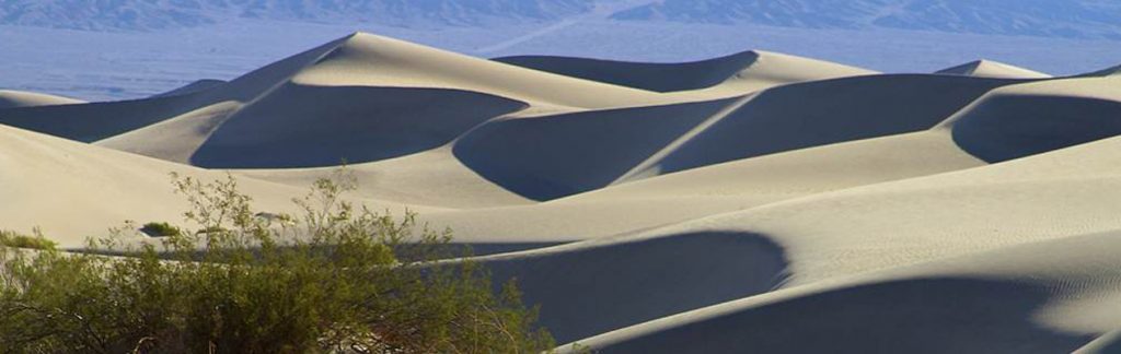 Landscape view of a sand dune