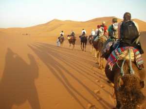 Camel caravan.