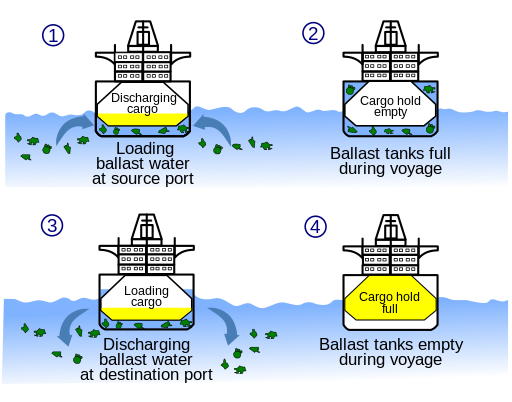 Ballast water diagram