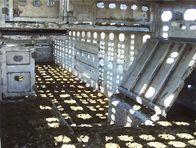 Inside view of a livestock truck