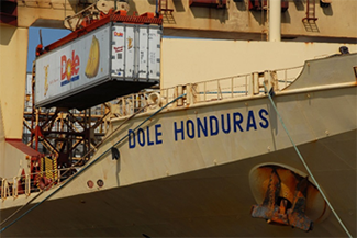 A reefer ship, Dole Honduras, unloading a container of bananas