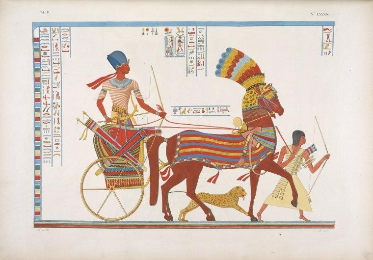 Egyptian chariot