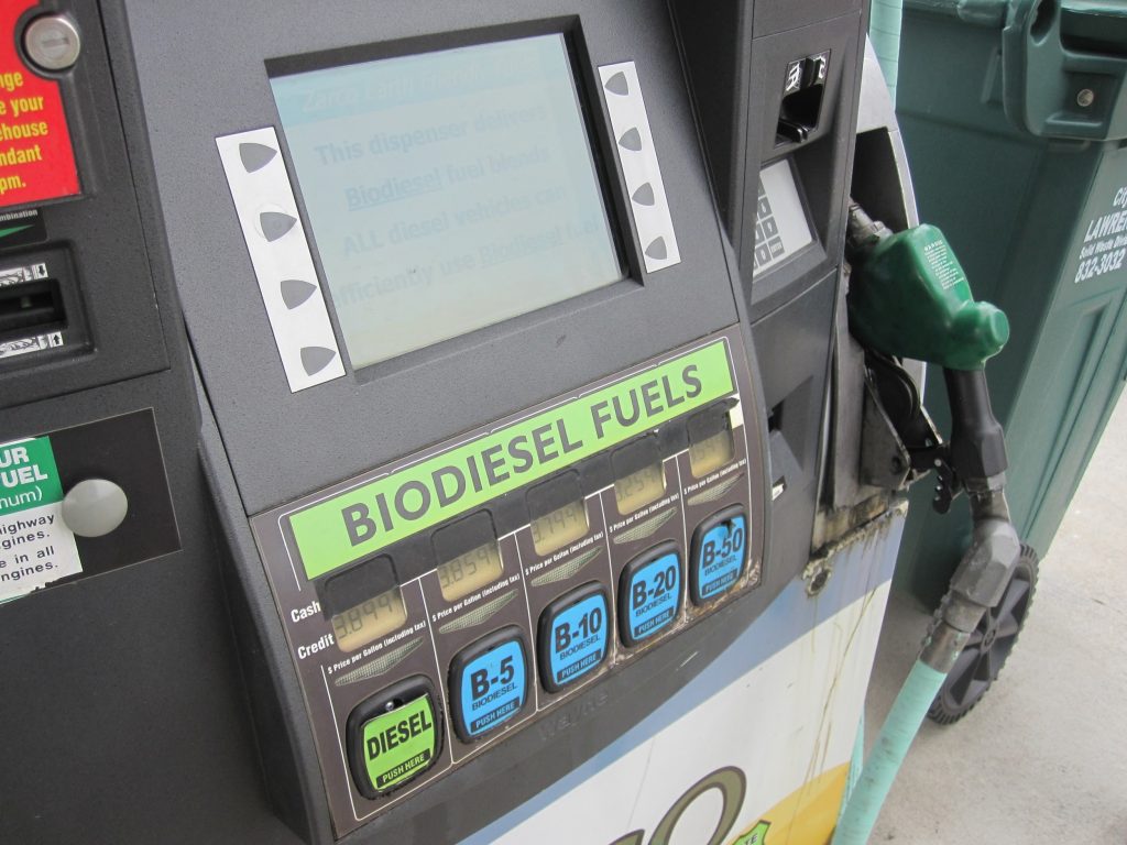 Biodiesel fuel pump