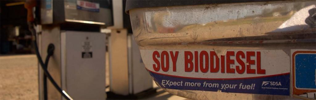 Soy biodiesel