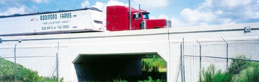 Truck cross bridge with bear underneath