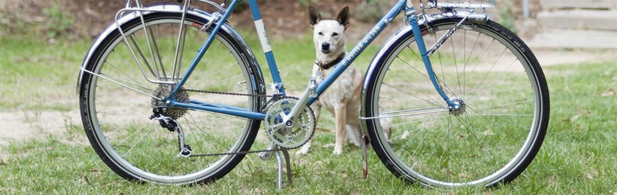 Bicycle and dog