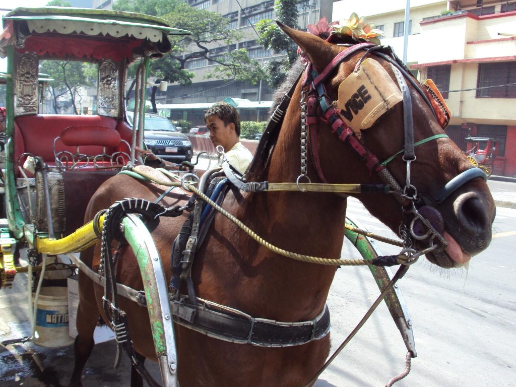 Kalesa in Manila, Philippines