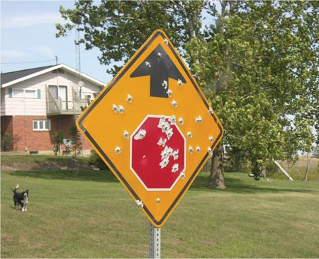 Stop sign ahead” sign with gunshot damage