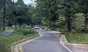 Driver's view of a chicane